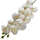 Huitich Artificial White Rose Flowers Realistic Decor - Mumzar
